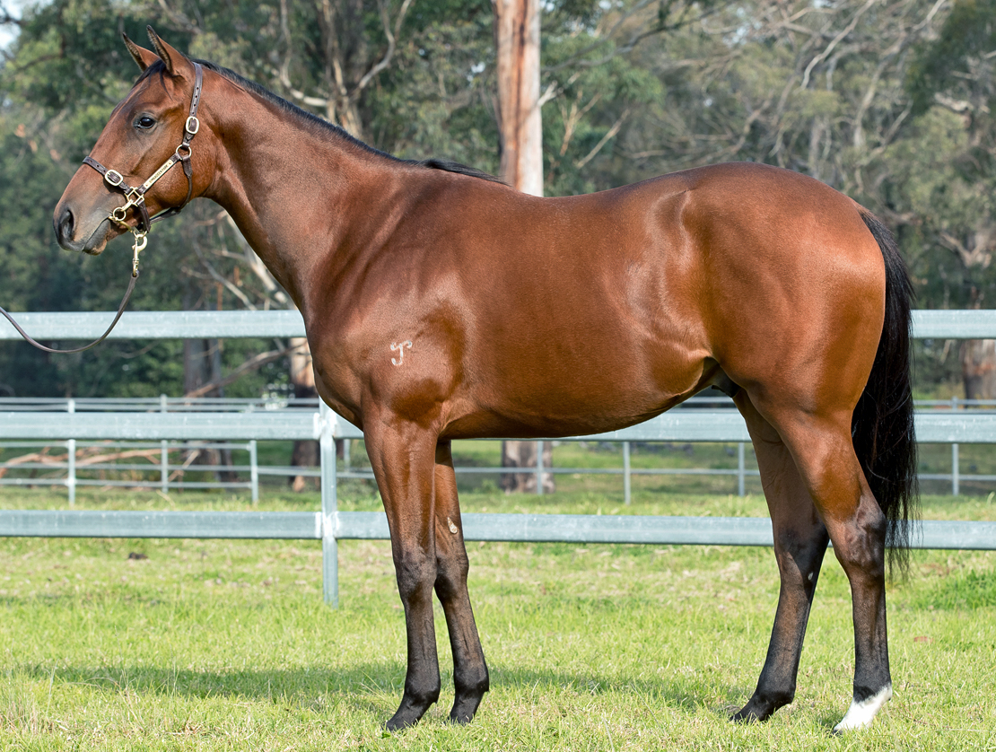 BROODMARE SIRES DATA What Works and What Doesn't